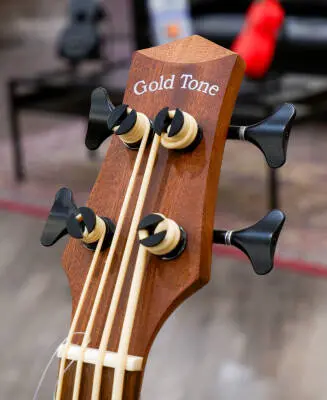 Gold Tone - Micro Bass 25'' Scale Fretless Cutaway Electric-Acoustic Bass 2